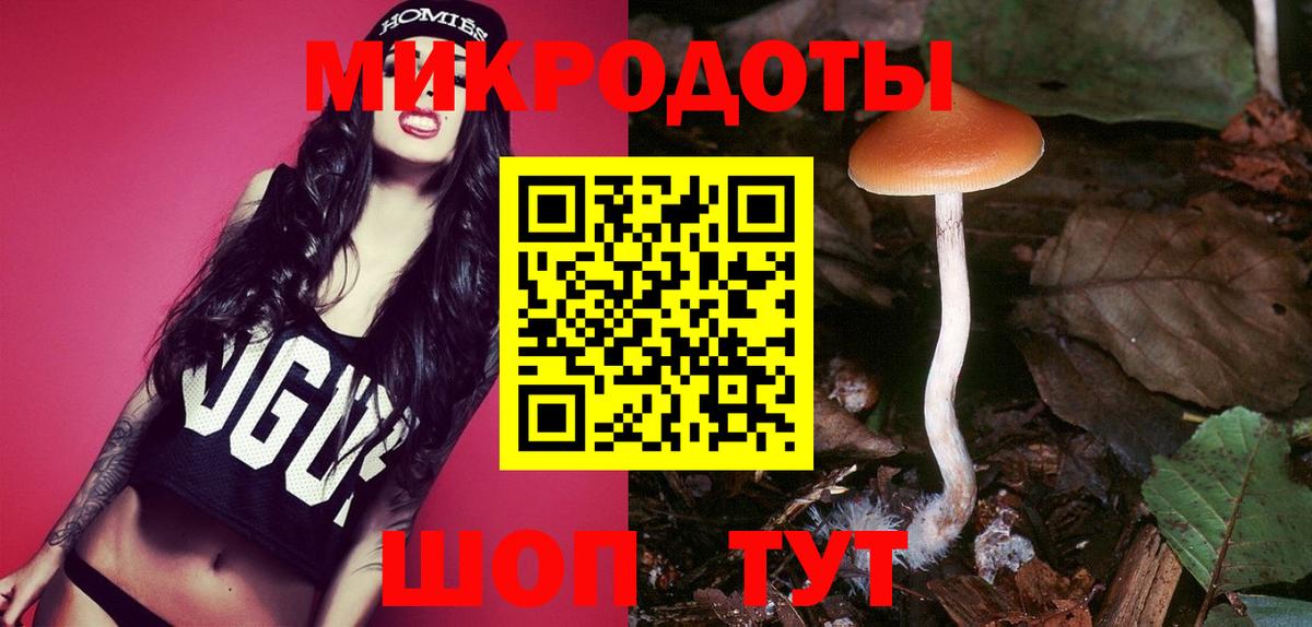 Галлюциногенные грибы Magic Shrooms  Вход с VPN  Галлюциногенные грибы Cubensis  Гуково 